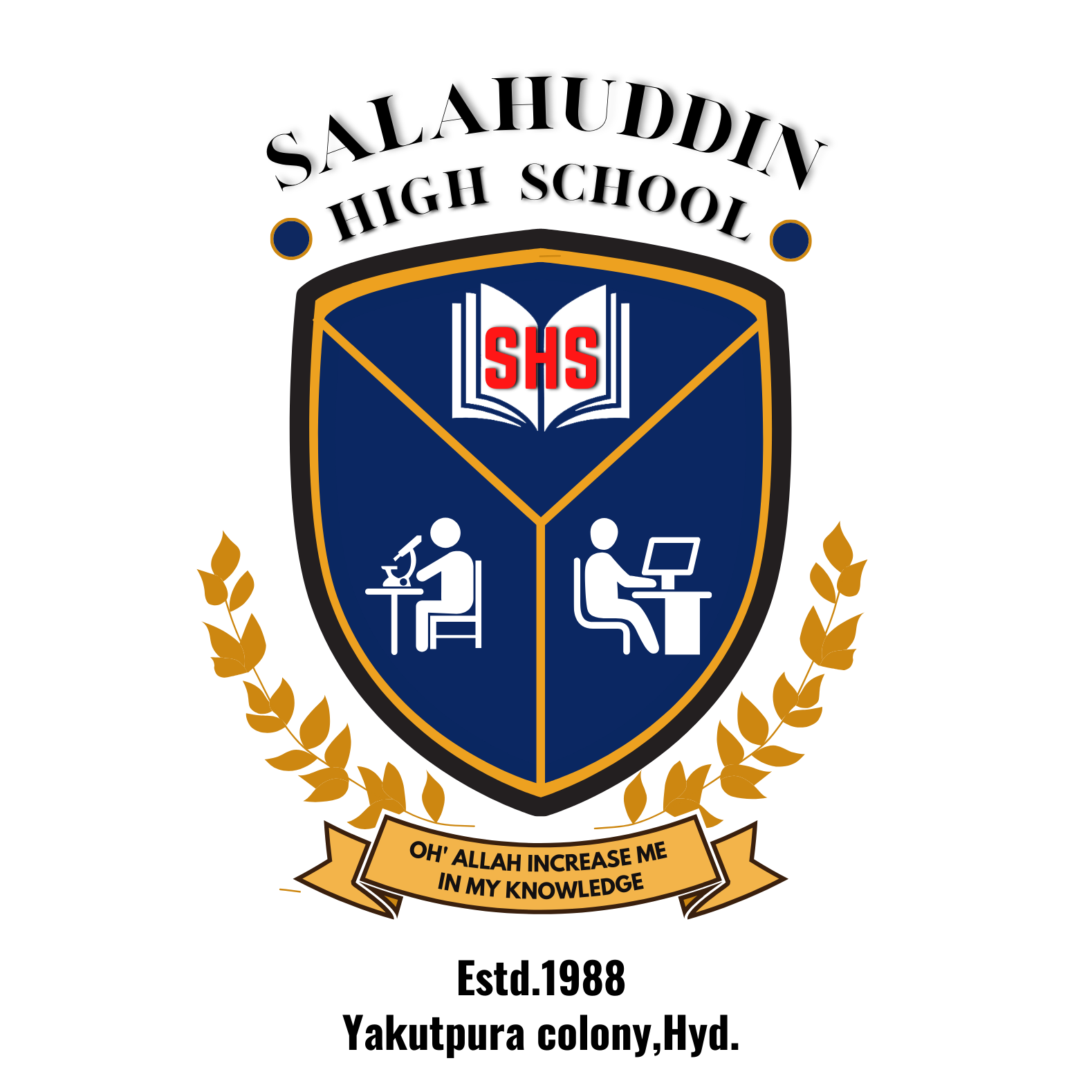 Salahuddin High School